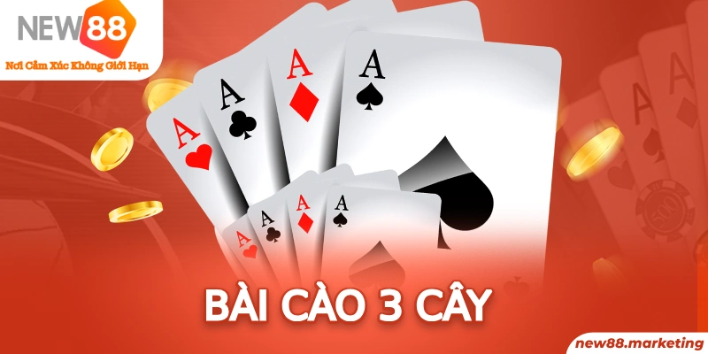 233 leyuan long bảo trong baccarat là gì