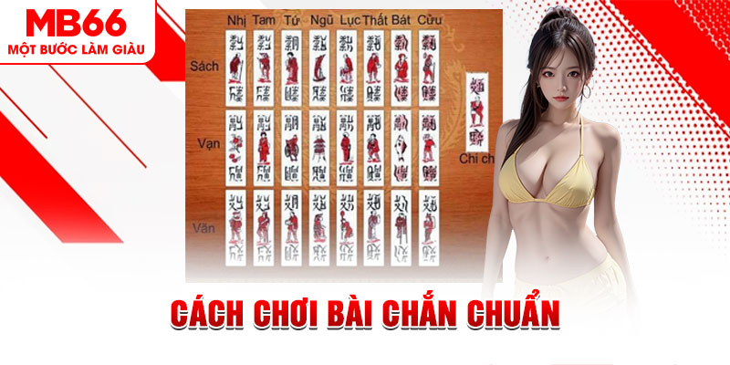 233 leyuan gà chọi cậu thanh