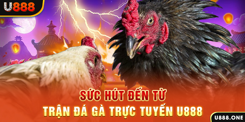 233 leyuan đá gà trực tiếp c1