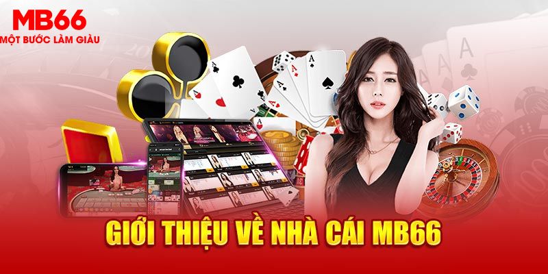 233 leyuan EVO Trực Tuyến