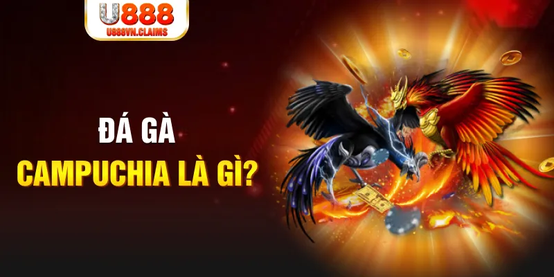 233 leyuan bắn cá vàng h5