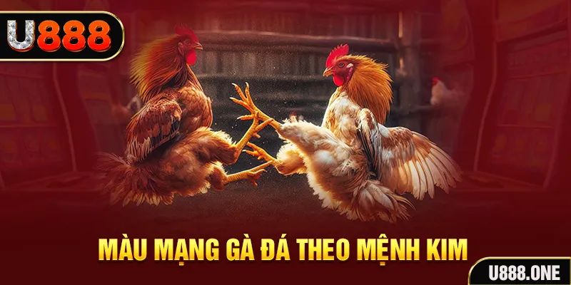 233 leyuan Cỡ bảy