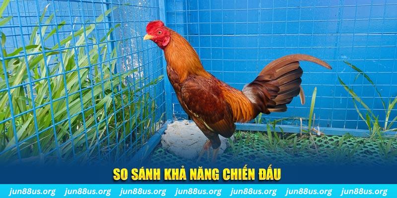 233 leyuan CQ9 Điện Tử