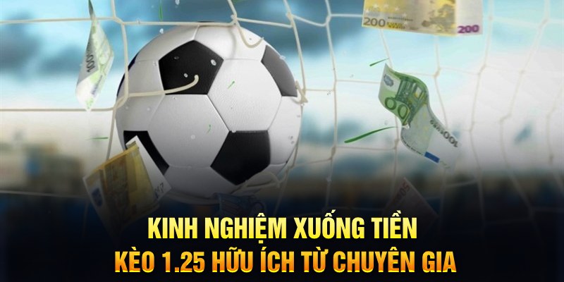 TCG Xổ Số