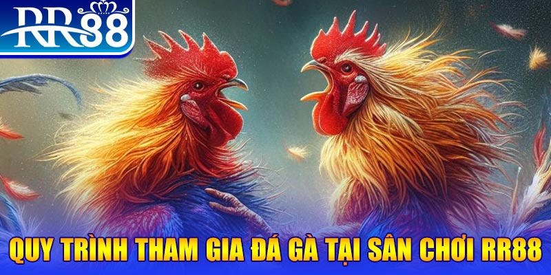 233 leyuan đá gà cam 67