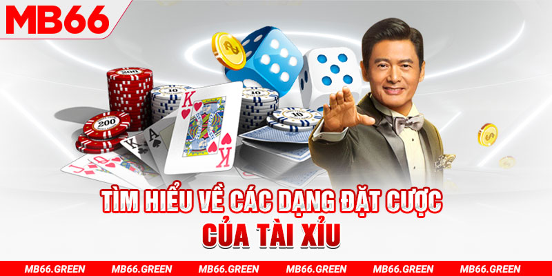 233 leyuan what is a virtual casino
