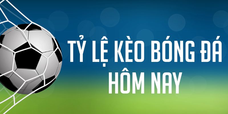 233 leyuan gà chọi c1 mới nhất