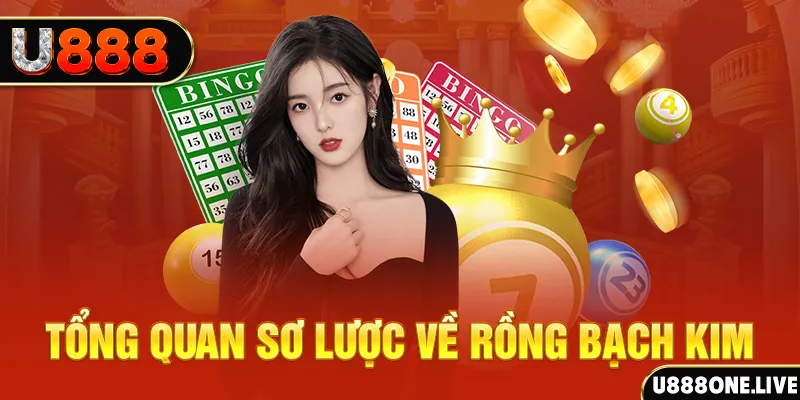 233 leyuan hũ 8 bit nổ như thế nào