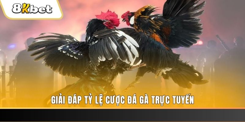 233 leyuan xổ số đài miền trung
