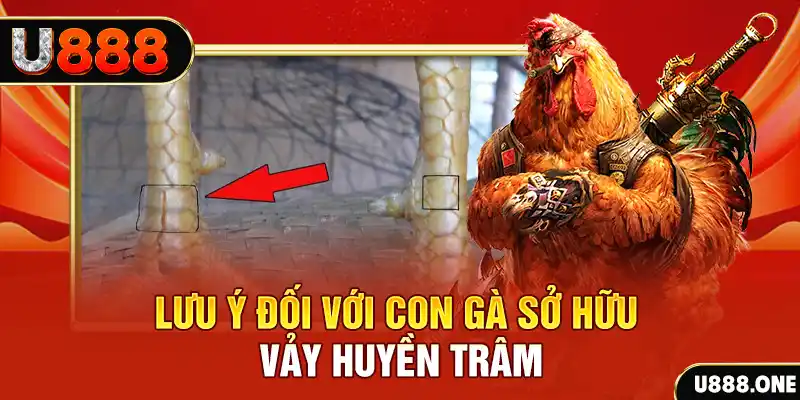 233 leyuan kết quả xổ số miền nam hôm nay