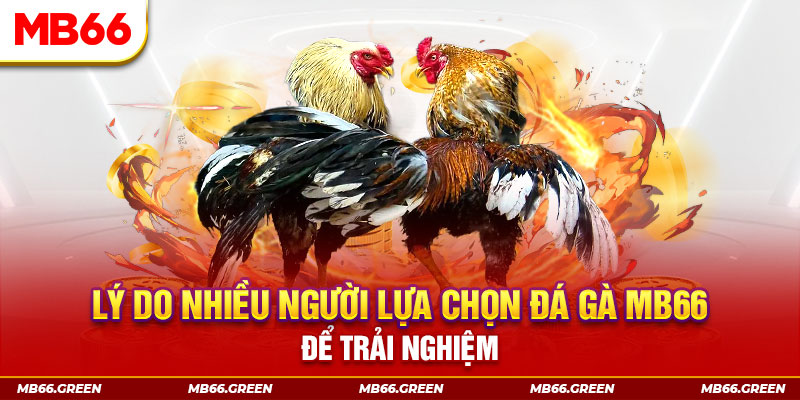 xổ số miền bắc thứ bảy hàng tuần