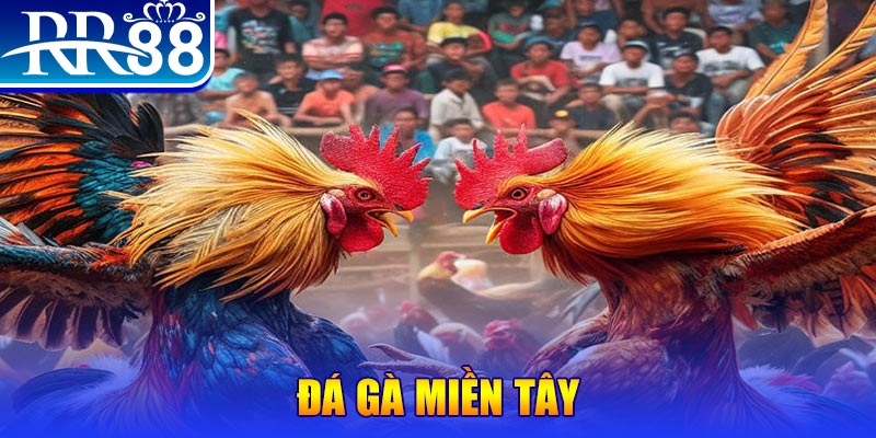 233 leyuan no hu doi thuong ai
