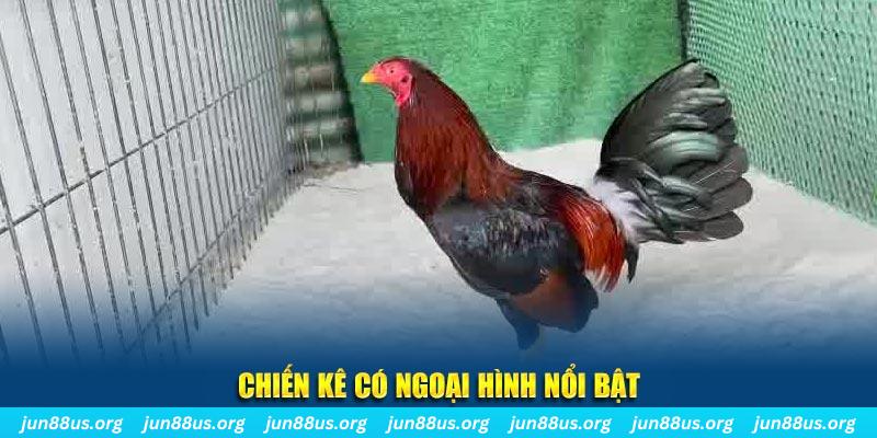 233 leyuan game nổ hũ là gì