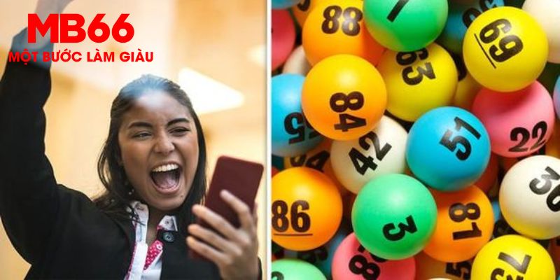 233 leyuan Trăm Knorr