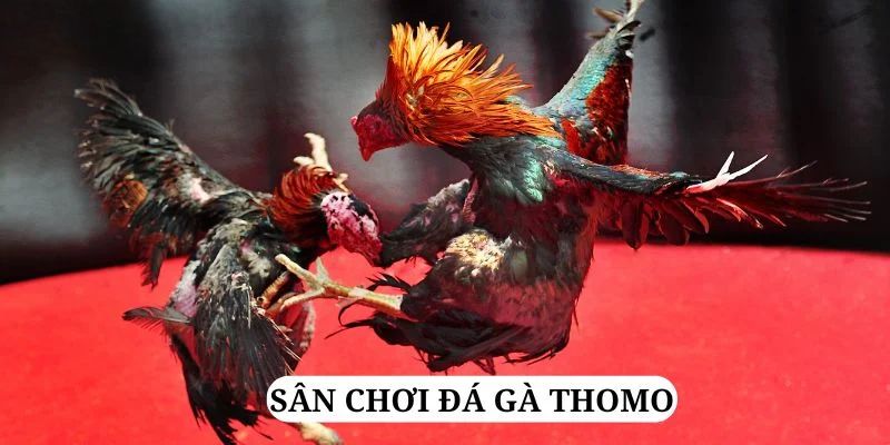 233 leyuan trực tiếp xổ số miền bắc